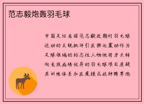 范志毅炮轰羽毛球