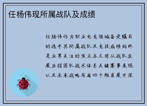 任杨伟现所属战队及成绩